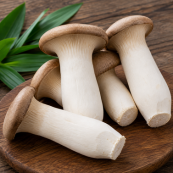 King Oyster Mushroom